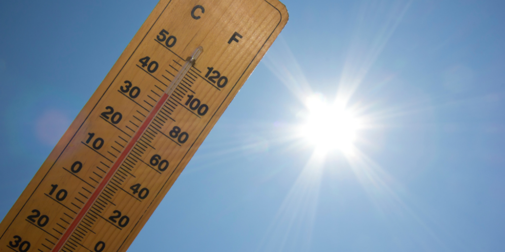 beste-padeltas-koopgids-thermischvak