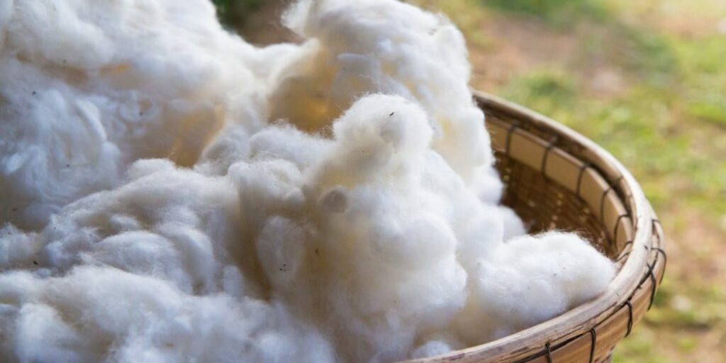 beste-katoenen-dekbed-soorten